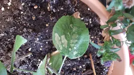 20180819_123840.webp
