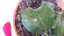 20180819_123847.webp
