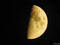 c046.jpg