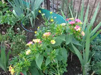IMG_6368.webp