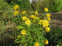 IMG_6365.jpg