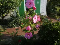 DSC03609.webp