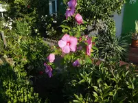 DSC03608.webp
