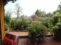 DSC03606.webp