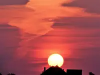 image001.webp