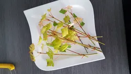 20180601_133555.webp