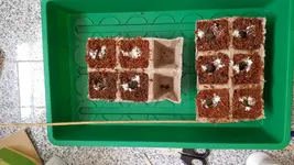 20180601_143116.webp