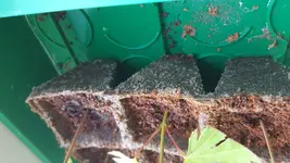 20180617_093419.webp