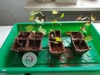 20180705_140645.webp