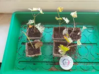 20180809_120229.webp