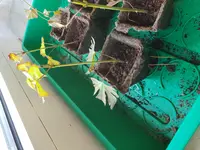 20180809_120240.webp