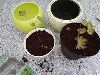 20180809_124549.webp