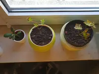 20180809_130420.webp