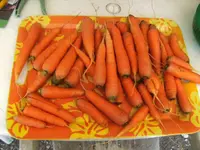 BILD0589.webp