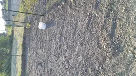 20180819_181153.webp