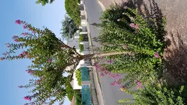 20180820_115602.webp