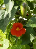 P8190651.webp