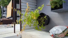 20180529_175459.webp