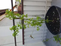 20180806_133504.webp