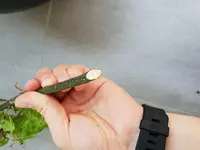 20180806_133519.webp