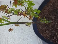 20180821_084748.webp
