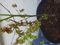 20180821_084805.webp