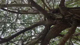 20180821_081846.webp 20180821_081846.webp