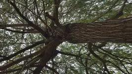 20180821_081840.webp 20180821_081840.webp