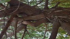 20180821_081829.webp 20180821_081829.webp