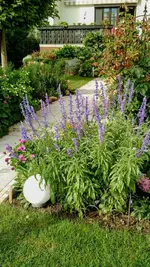 IMG_20180814_082730380.webp