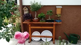 IMG_20180811_143543303.webp