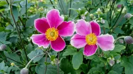 IMG_20180813_191916368.webp