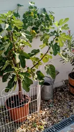 IMG_20180820_104958395.jpg