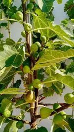 IMG_20180820_104839653.webp