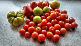 IMG_20180819_104242458_HDR.webp