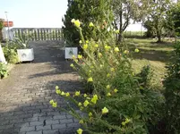 DSC03610.webp