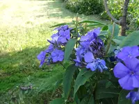 DSC03614.webp