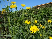 DSC03616.webp
