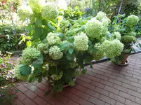 DSC03618.webp