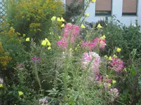 DSC03620.webp