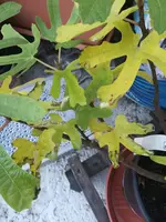 IMG_20180821_194450.webp
