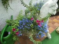BILD0566.webp