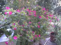 BILD0580.webp