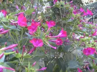 BILD0581.webp