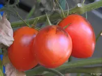 c047.jpg