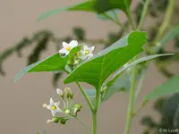 c048.jpg