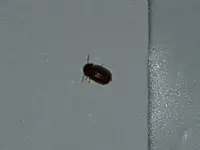 20180822_182633.jpg