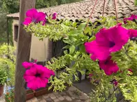 04. Blume.webp