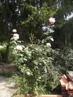 BILD0480.webp