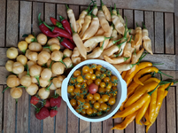 20180825_111643-2.webp